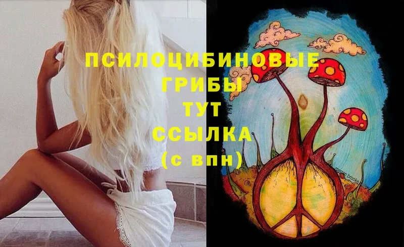 Галлюциногенные грибы Psilocybine cubensis  как найти закладки  Западная Двина 